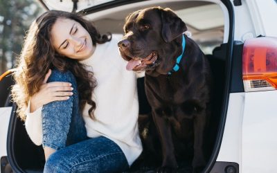 ¿Se pueden tener mascotas en la Propiedad Horizontal?